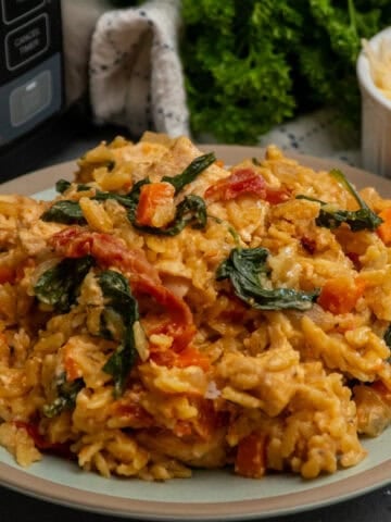 Marry me chicken orzo with a crock pot in the background.