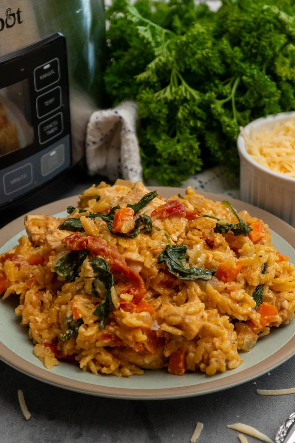 Marry me chicken orzo with a crock pot in the background.
