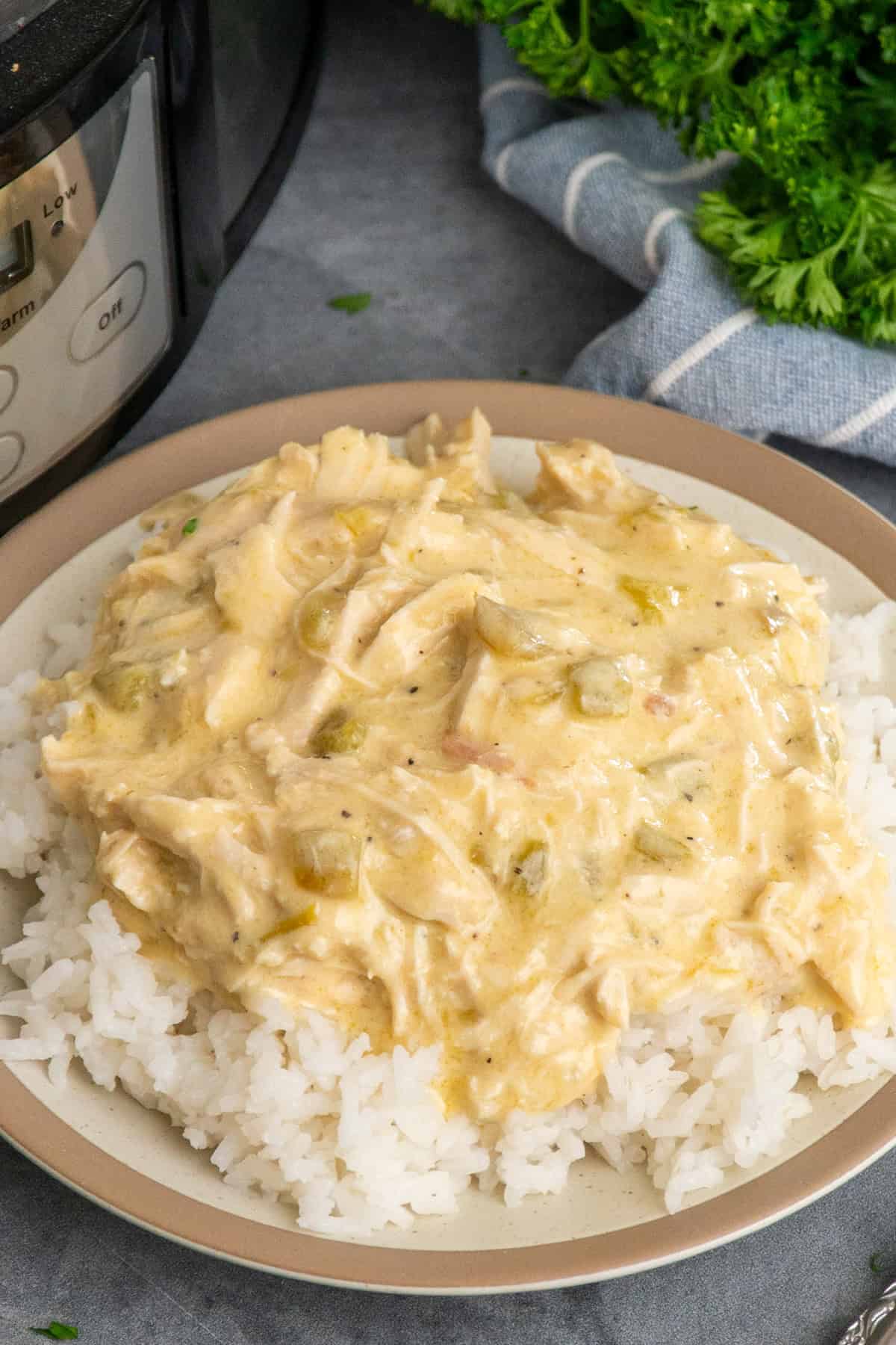 Crock pot green chile chicken over a plate of rice.