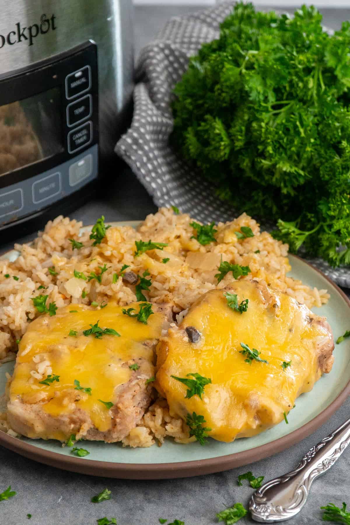 Pork chops and rice on a plate with a crock pot in the background.