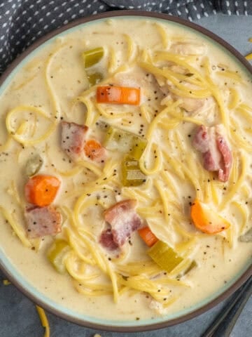 Crock pot crack chicken noodle soup in a bowl ready to eat.