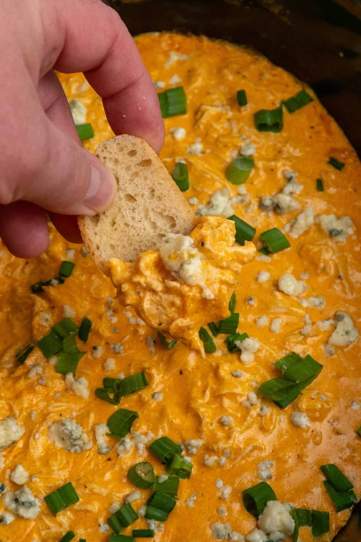 A hand dipping a sliced baguette into the buffalo chicken dip.