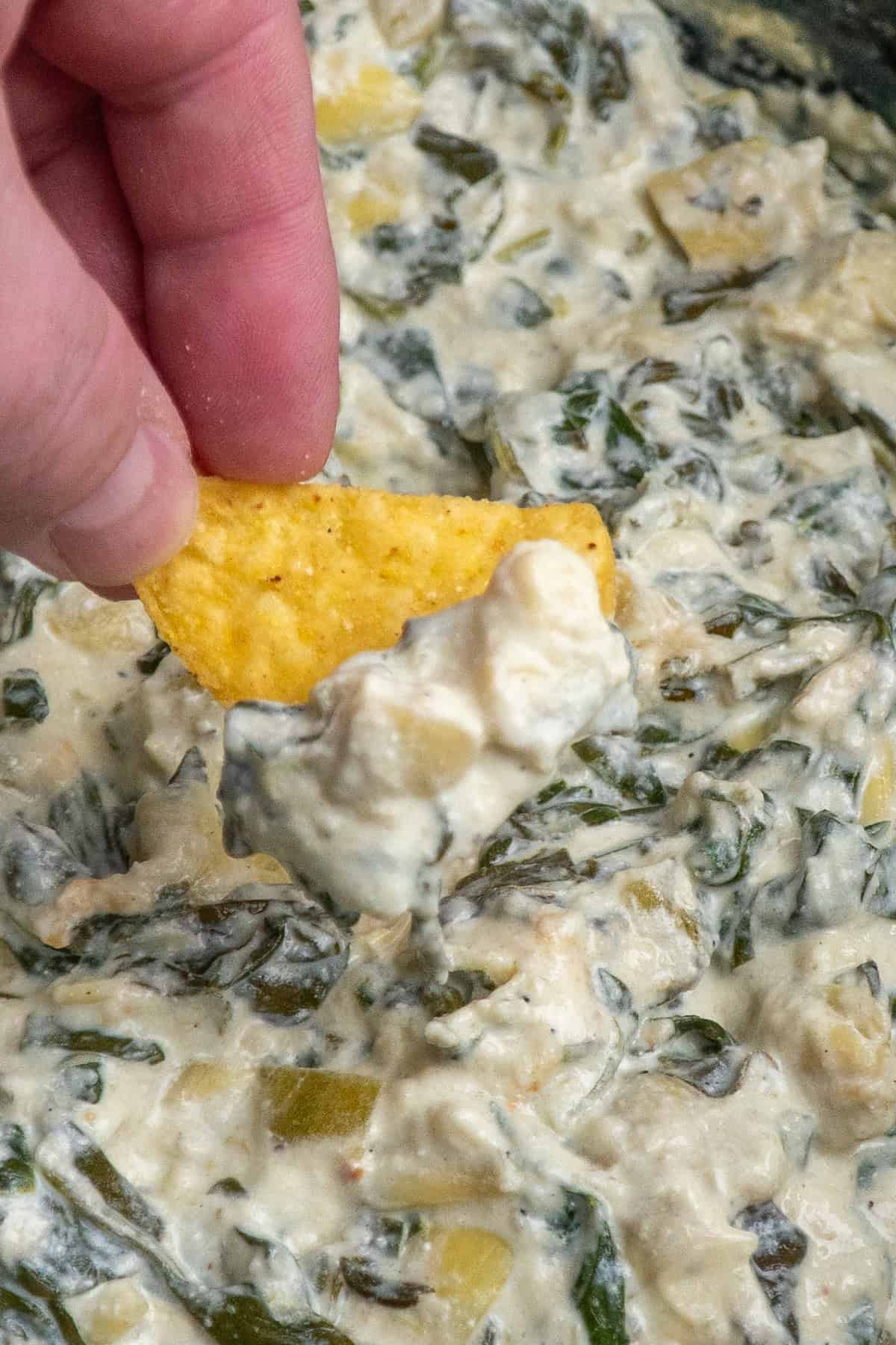 A hand holding a tortilla chip with with spinach artichoke dip on it.