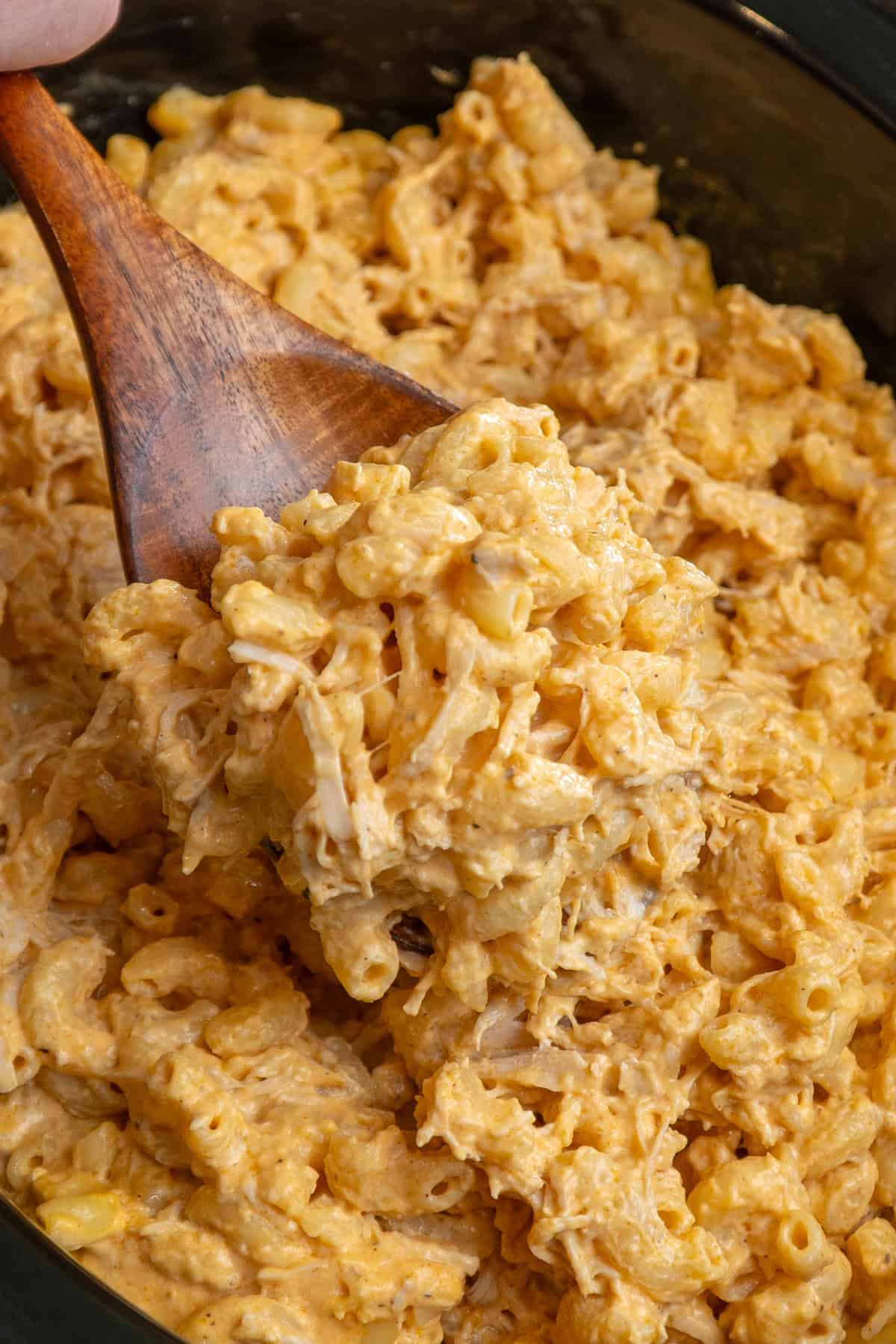 A wooden spoon holding a scoop of buffalo chicken mac and cheese.